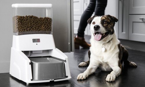 Meilleur distributeur automatique croquettes chien 
