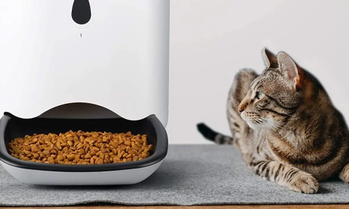 Meilleur distributeur nourriture chat : guide d’achat et comparatif