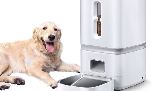 Meilleur distributeur de croquette chien : guide comparatif